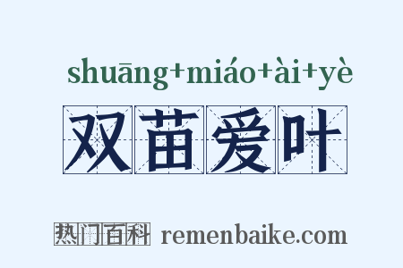 双苗爱叶是什么意思的图片